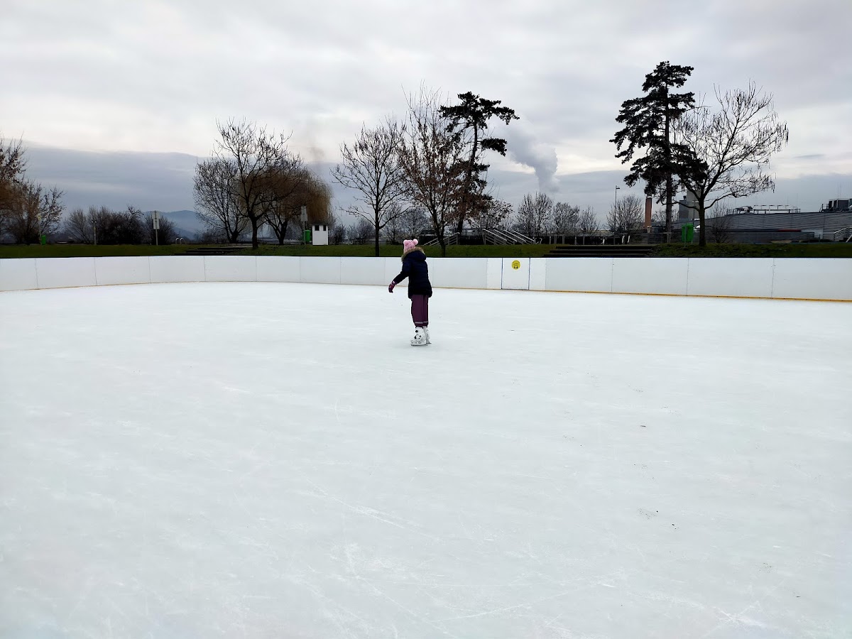 Parcul Tineretului - foto 5