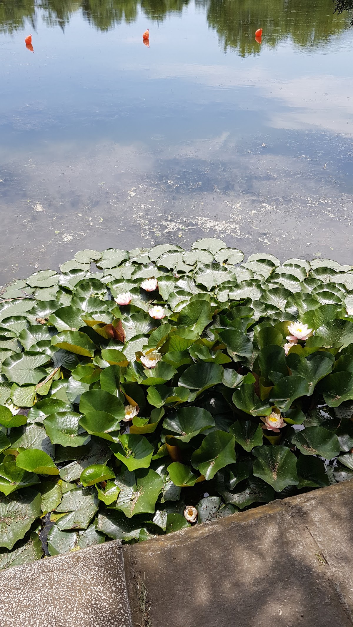 Parc Tineretului Buzău - foto 2