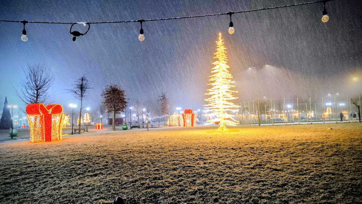 Parcul Tineretului Slatina - foto 2