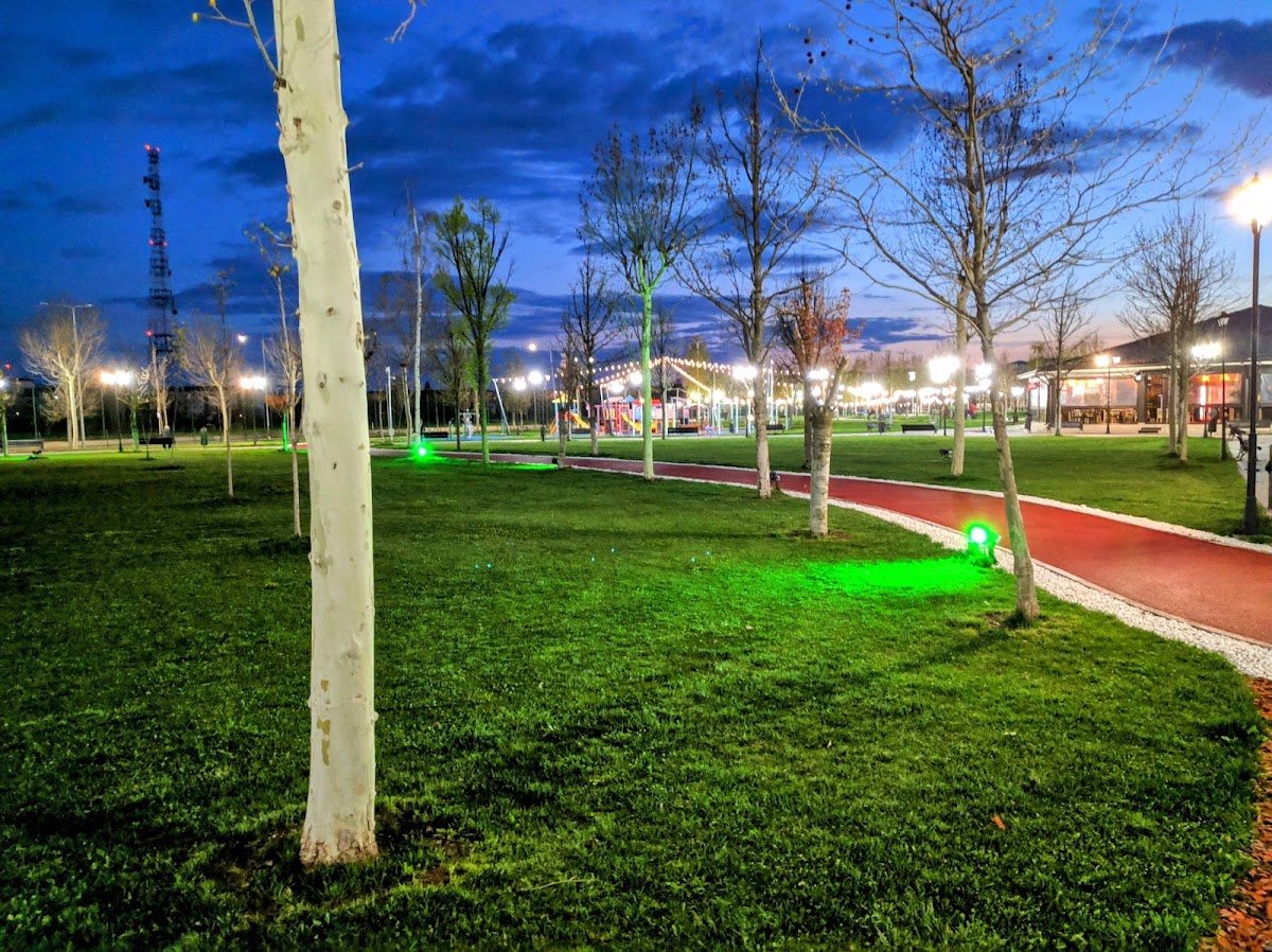 Parcul Tineretului Slatina - foto 3