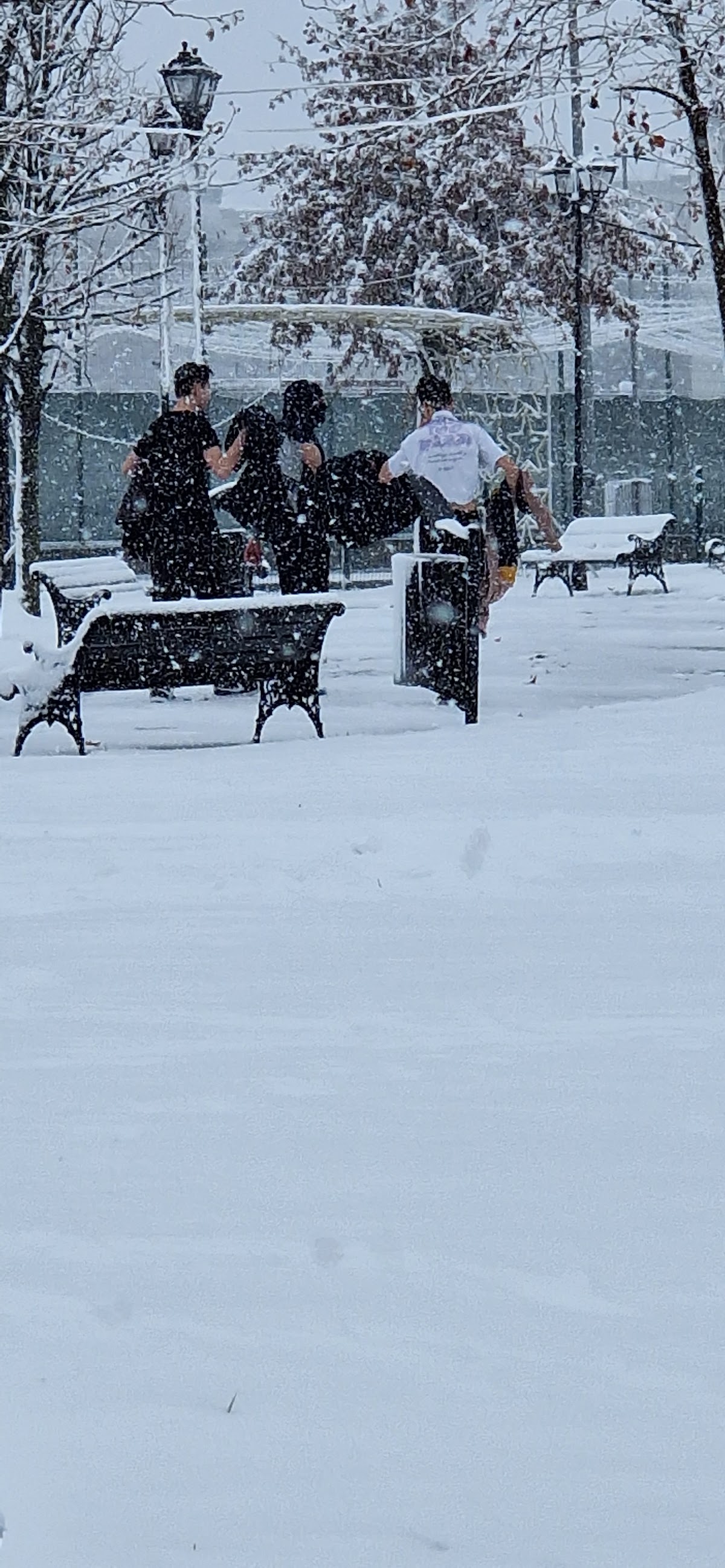 Parcul Tineretului Slatina - foto 5