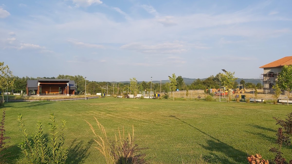 Tismana
