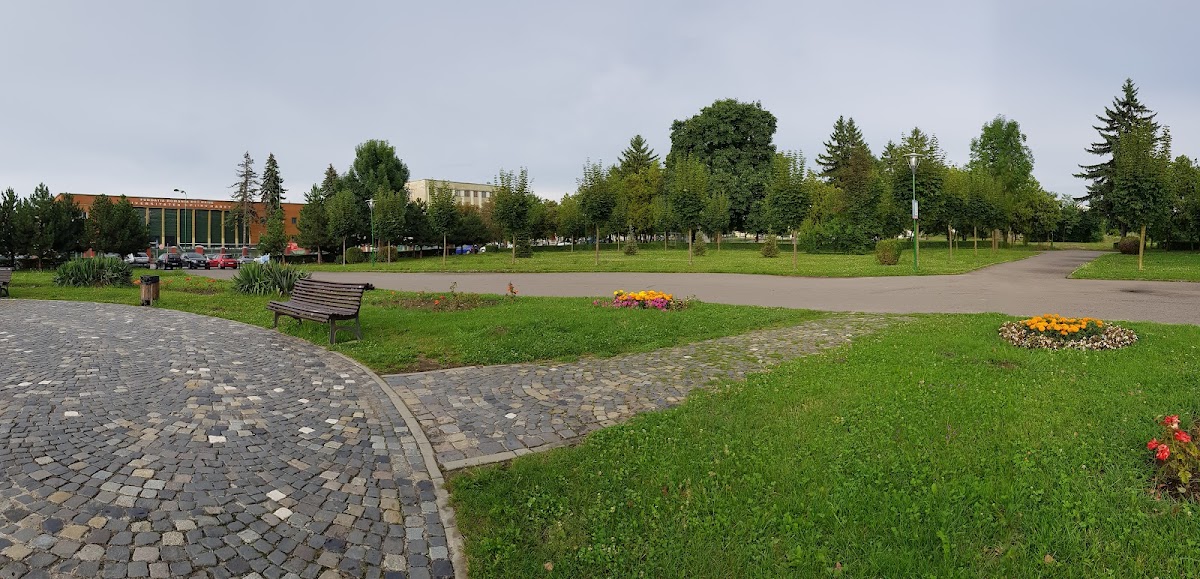 Parcul Tractorul - foto 1