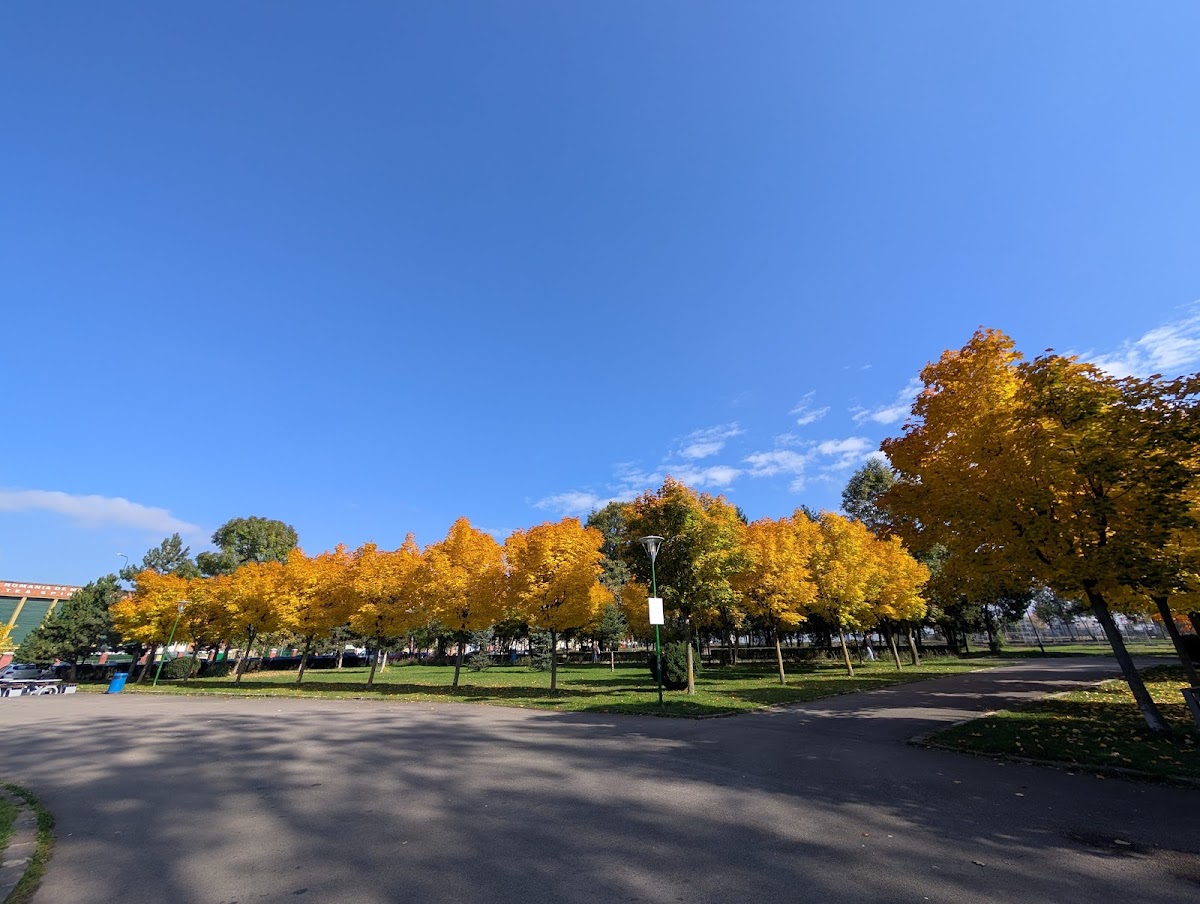 Parcul Tractorul - foto 4