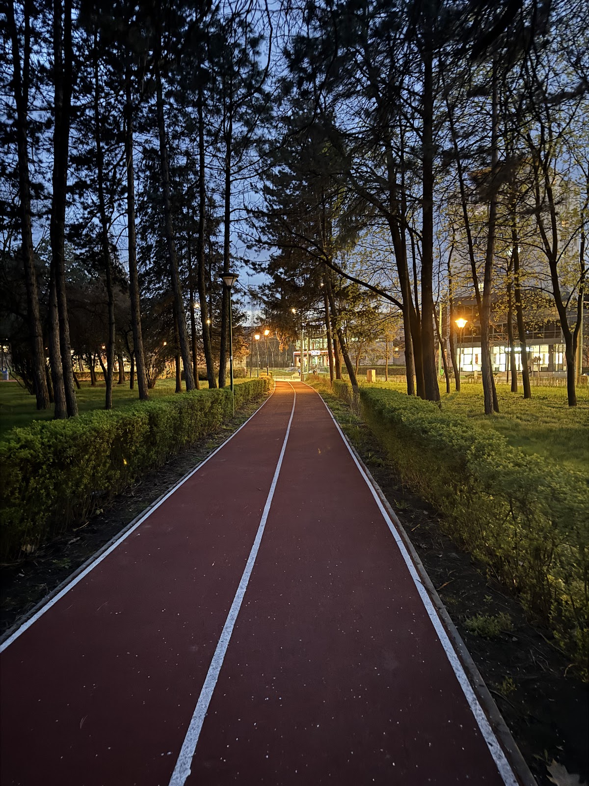 Parcul Tractorul - foto 5