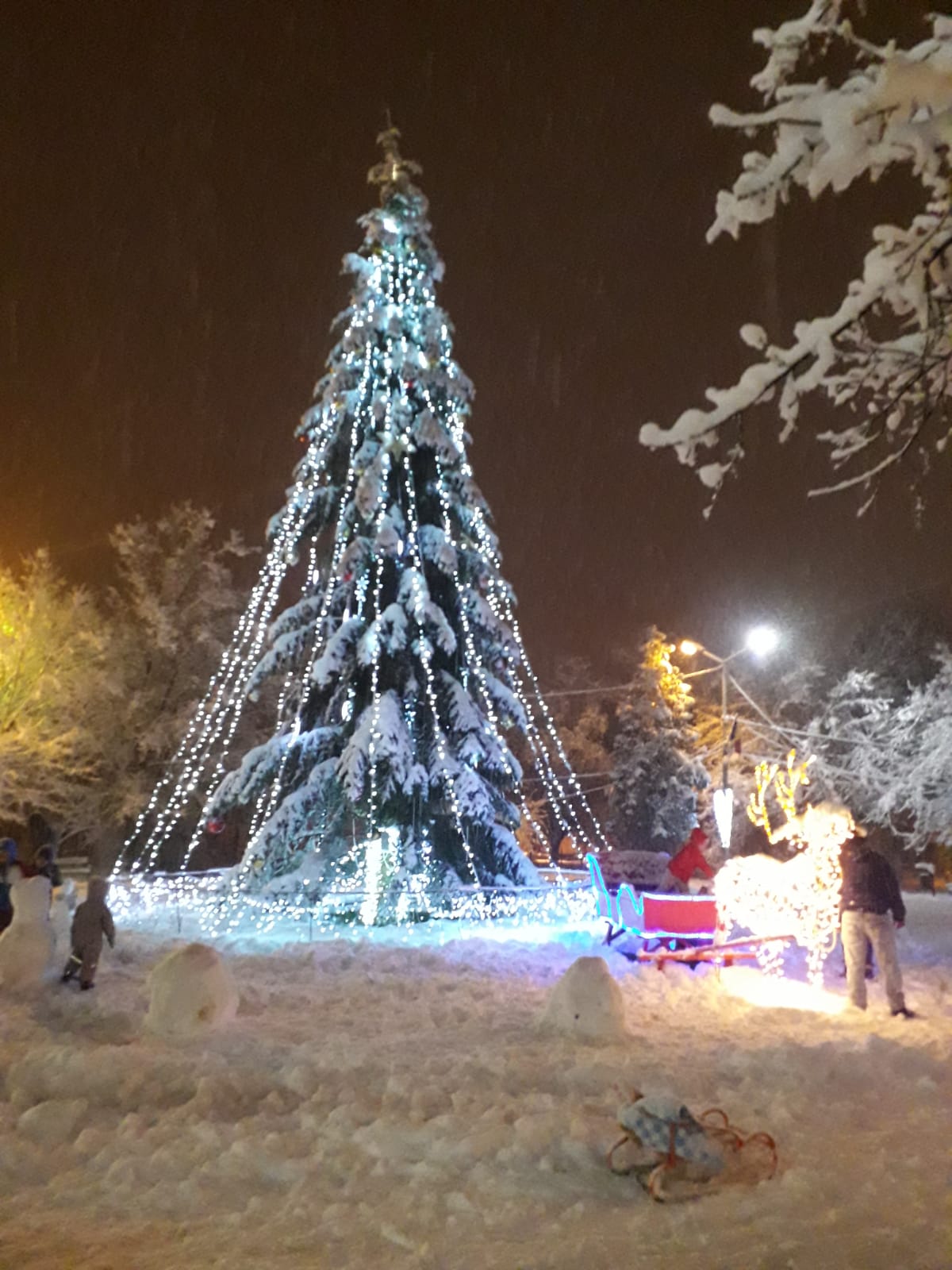 Parque Tricolorului - foto 4