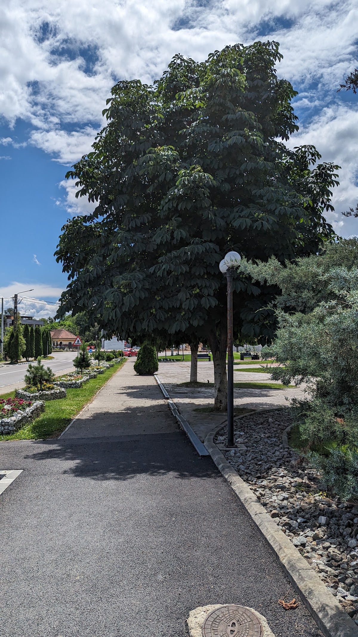Parcul Turceni - foto 3