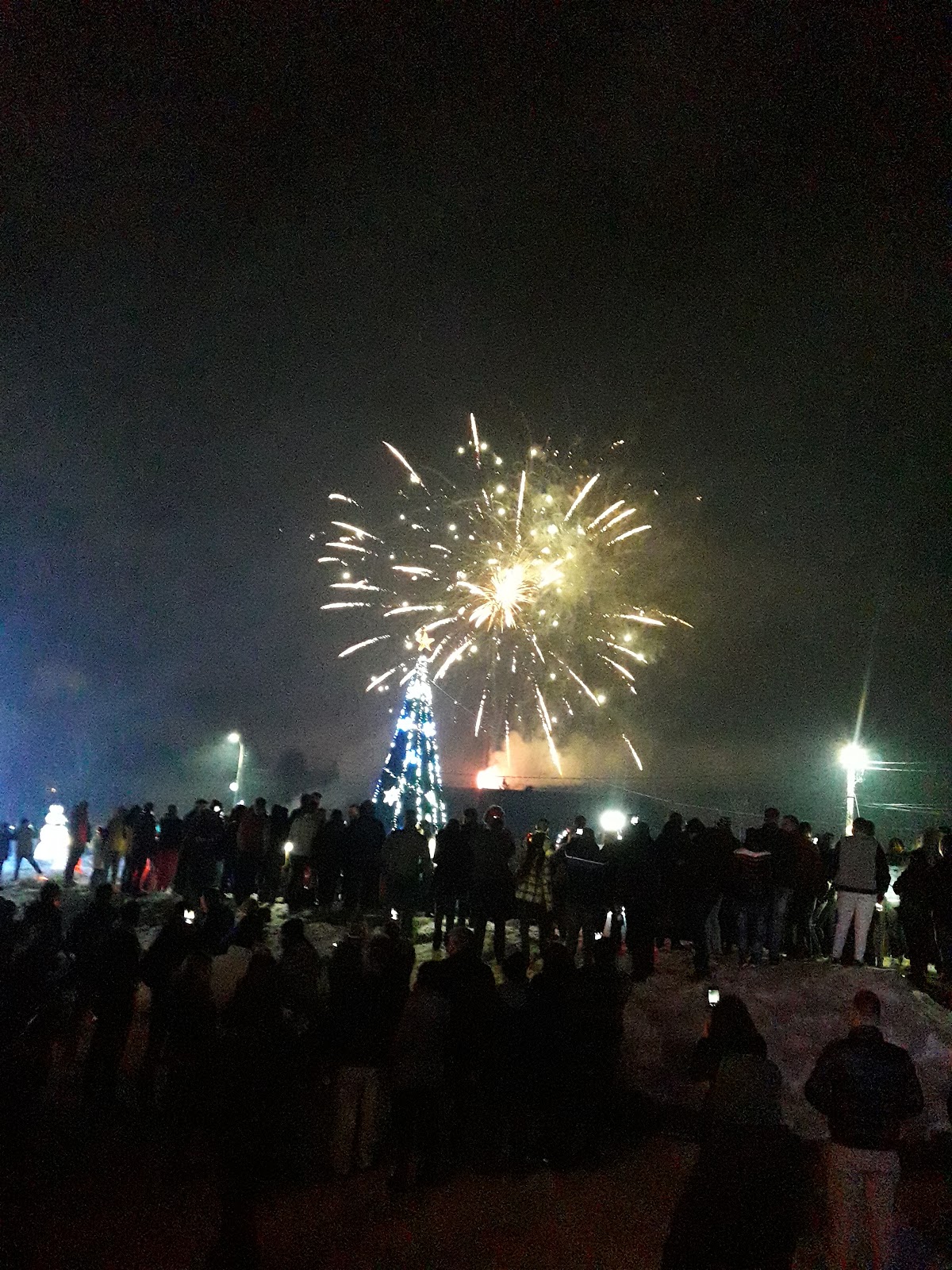 Parcul Turceni - foto 4