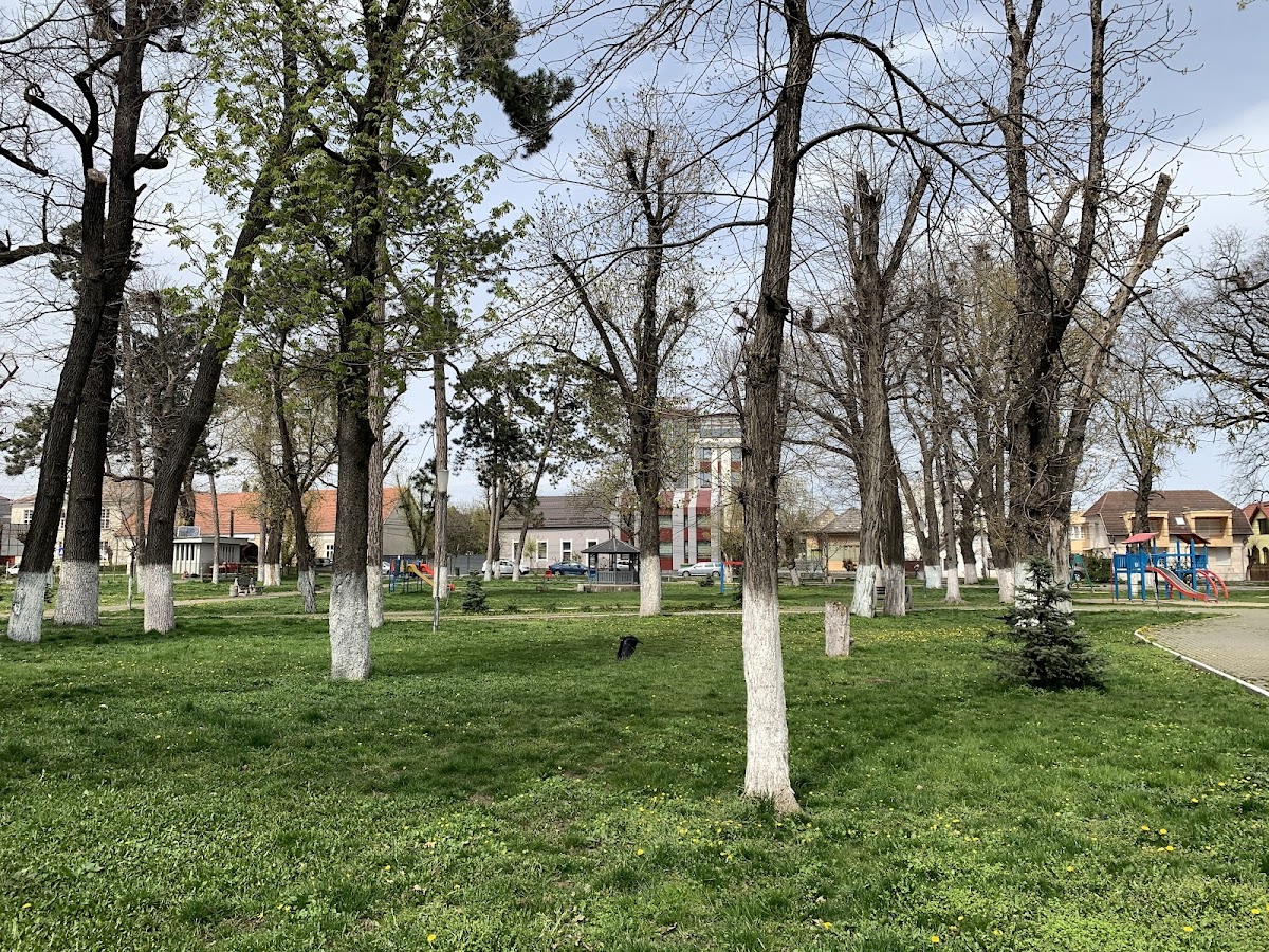 Parcul Turda Nouă - foto 3