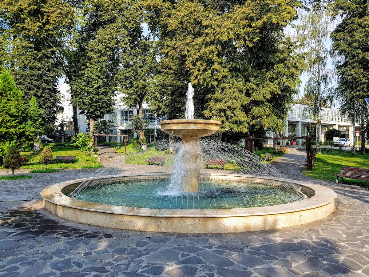 Parcul Universității "Ștefan cel Mare" Suceava - foto 4