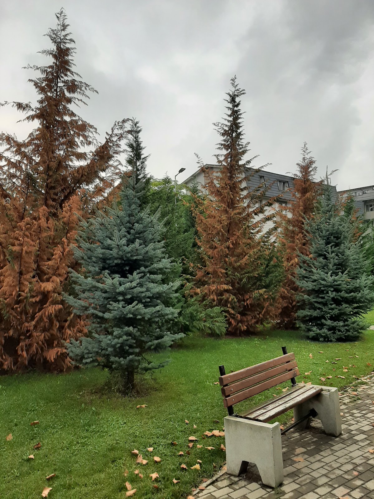 Parcul Vivo - foto 5