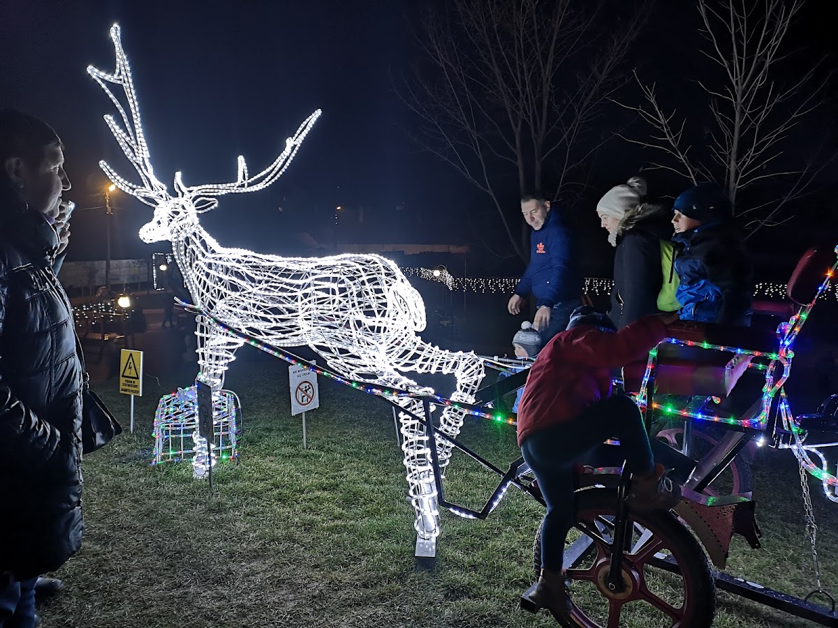 W. Wegener公园 - foto 2