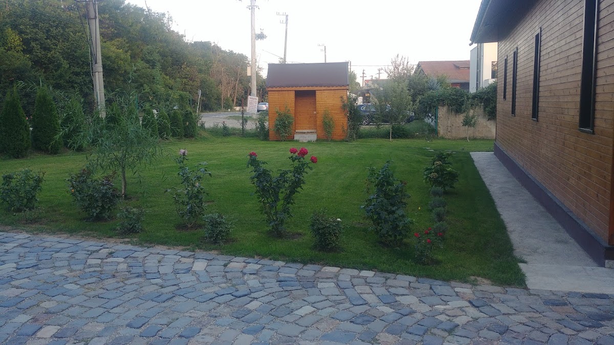 Parohia Sf.Cuv.Mc. Efrem cel Nou Mogosoaia II - foto 3