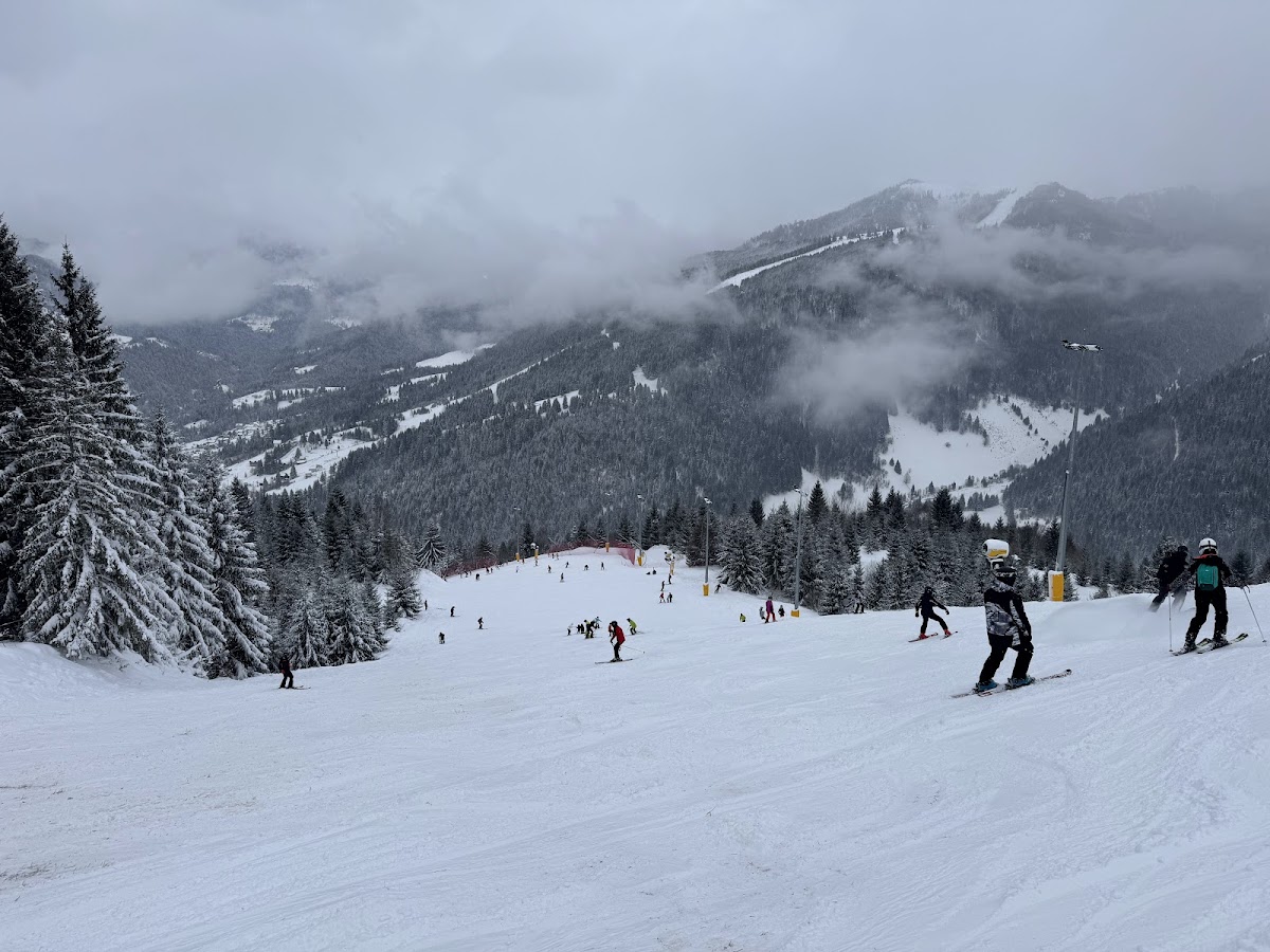Pârtia Olimpica Borșa - foto 2