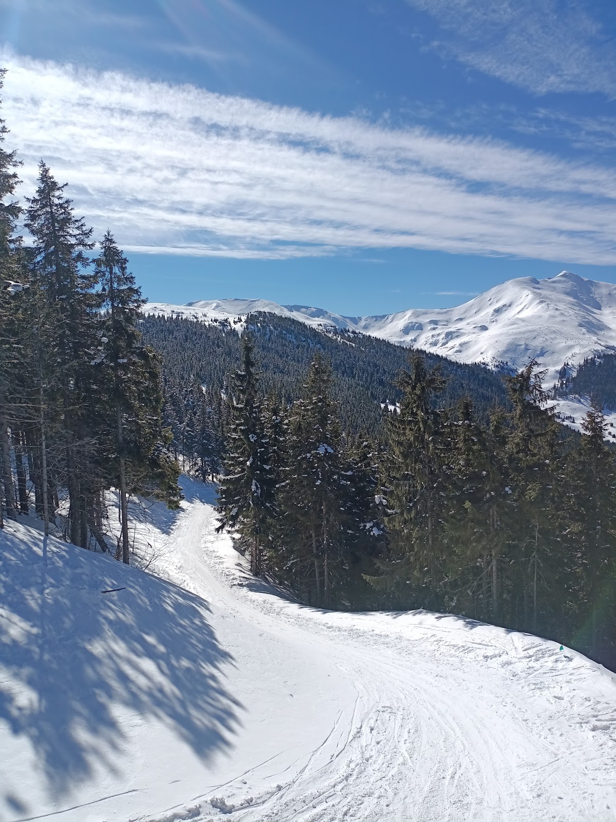 Pârtia Olimpica Borșa - foto 4