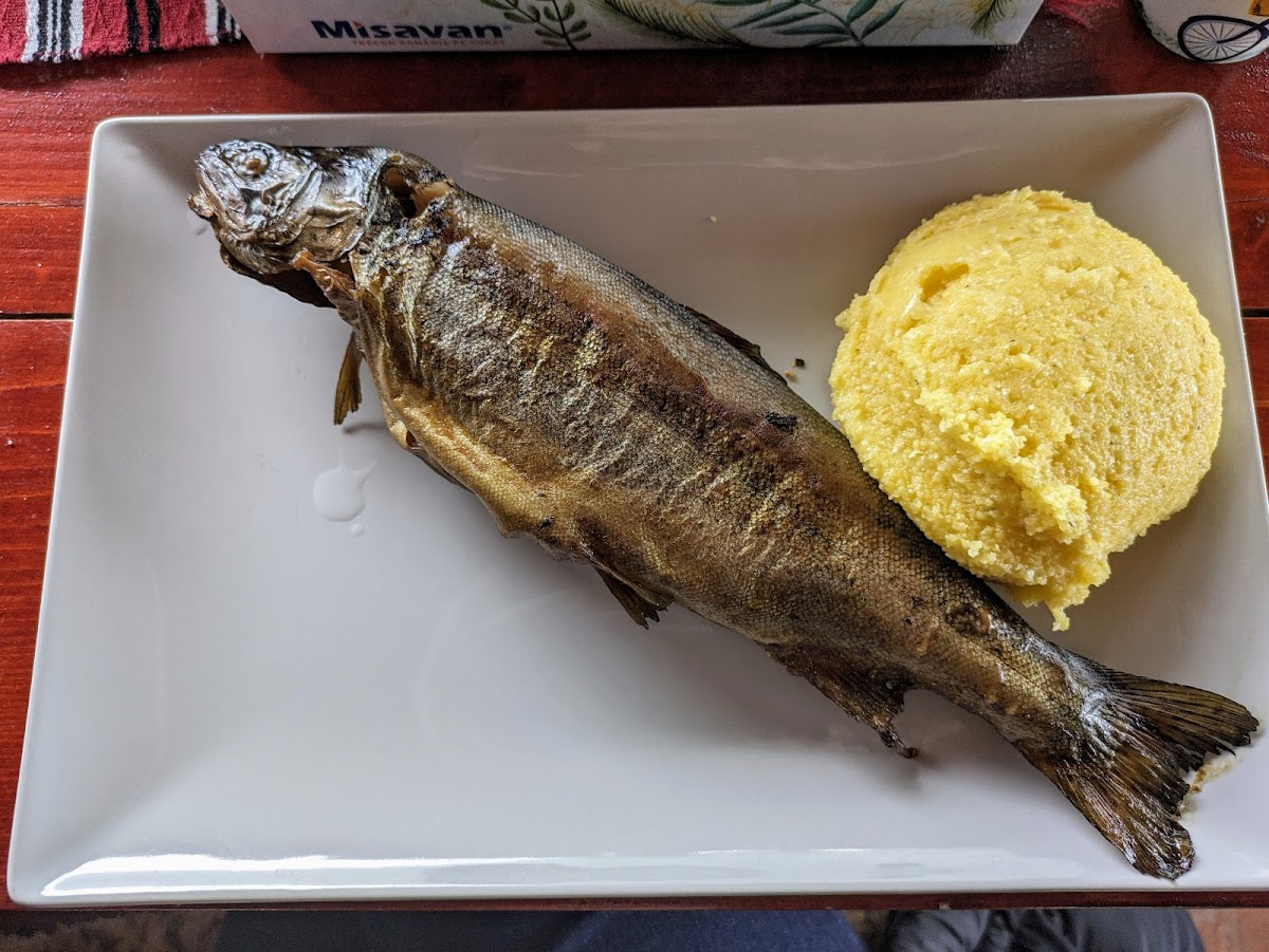 Păstrăvăria Cheiţa - foto 5