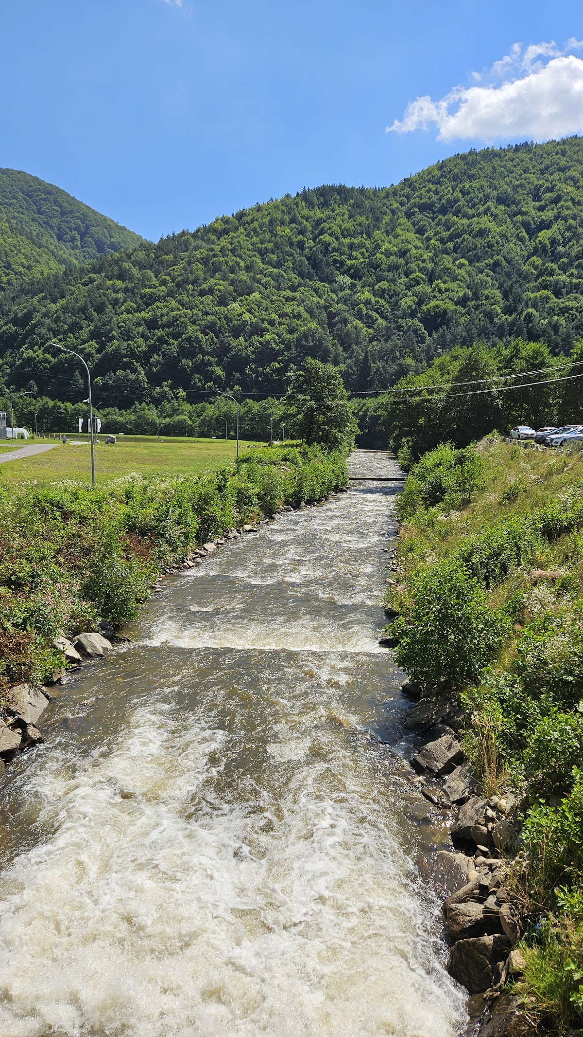 Gura Raului Trout Farm - foto 4