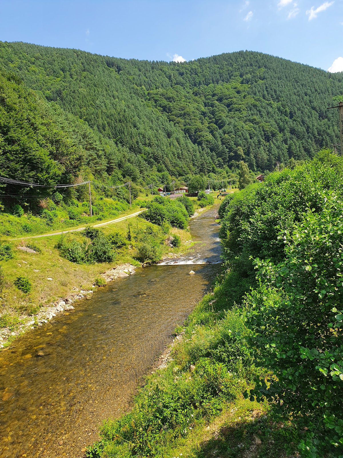 Pastravaria Gura Raului - Cindrel - foto 4