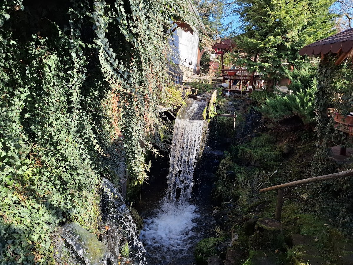 Păstrăvăria și Pensiunea Moara de apă - foto 4