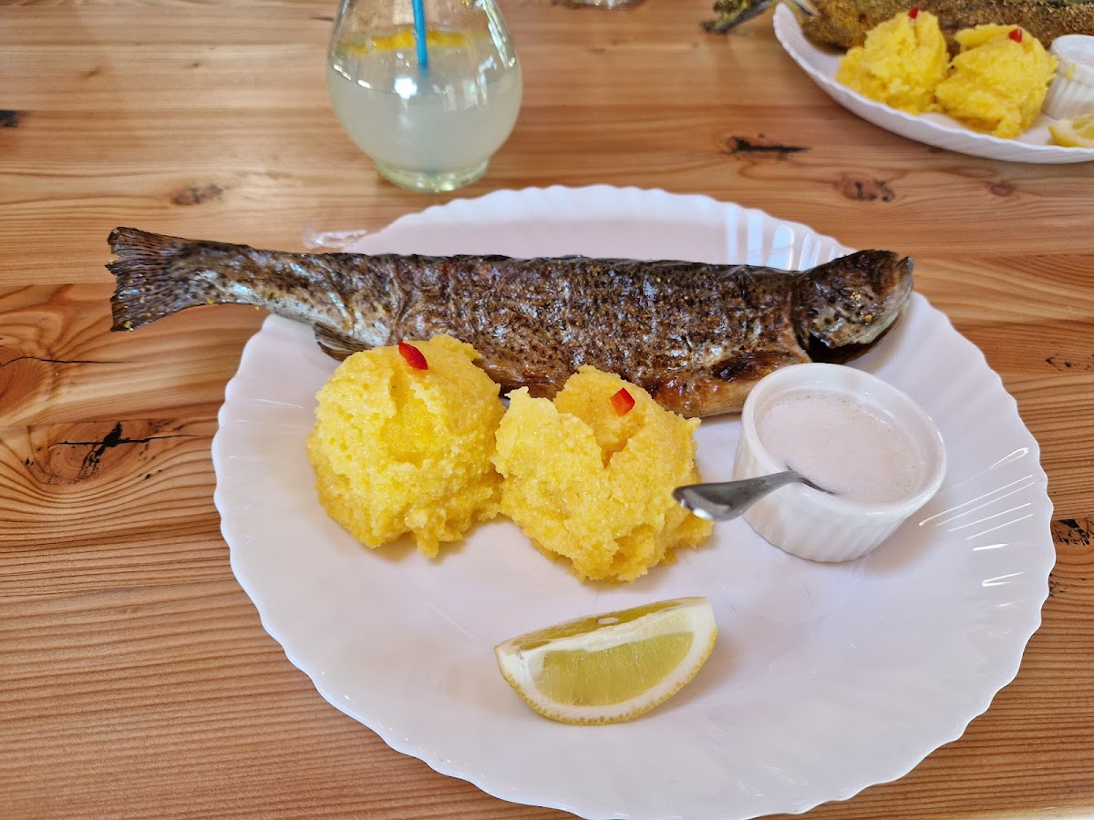 Păstrăvăria Ursu - foto 4