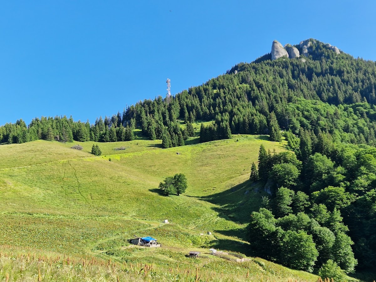 Pasul Bratocea - foto 4