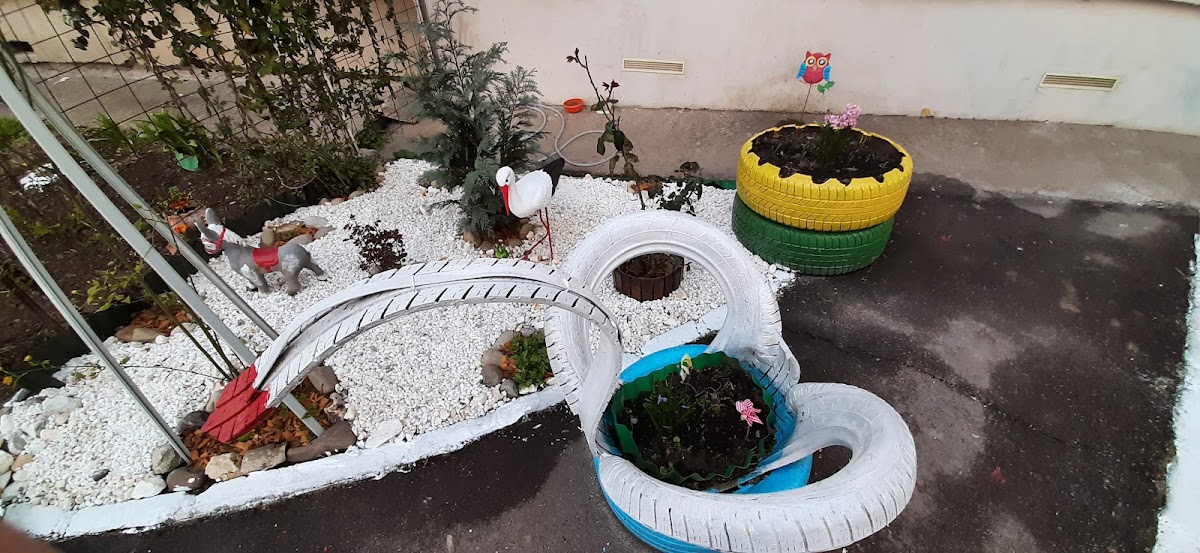 Paul's Garden