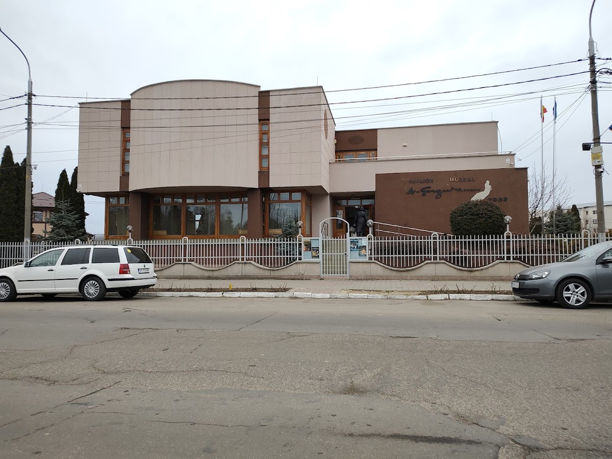 Pavilionul Expozițional Marcel Guguianu - foto 1