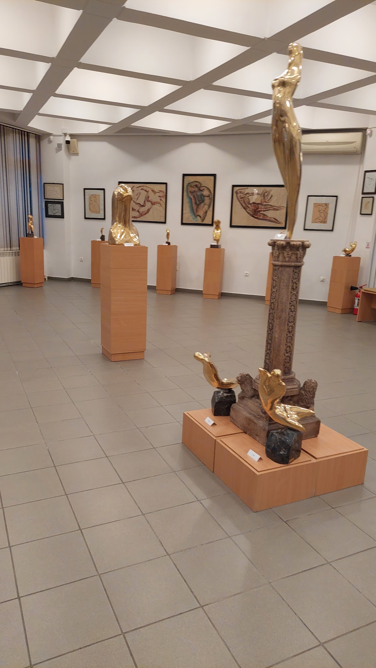 Pavilionul Expozițional Marcel Guguianu - foto 5