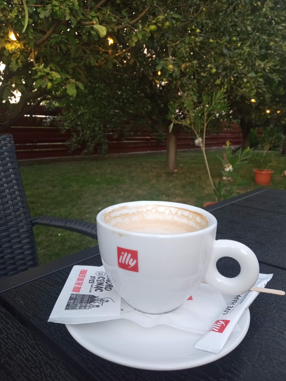 Peacock Zimnicea - foto 3