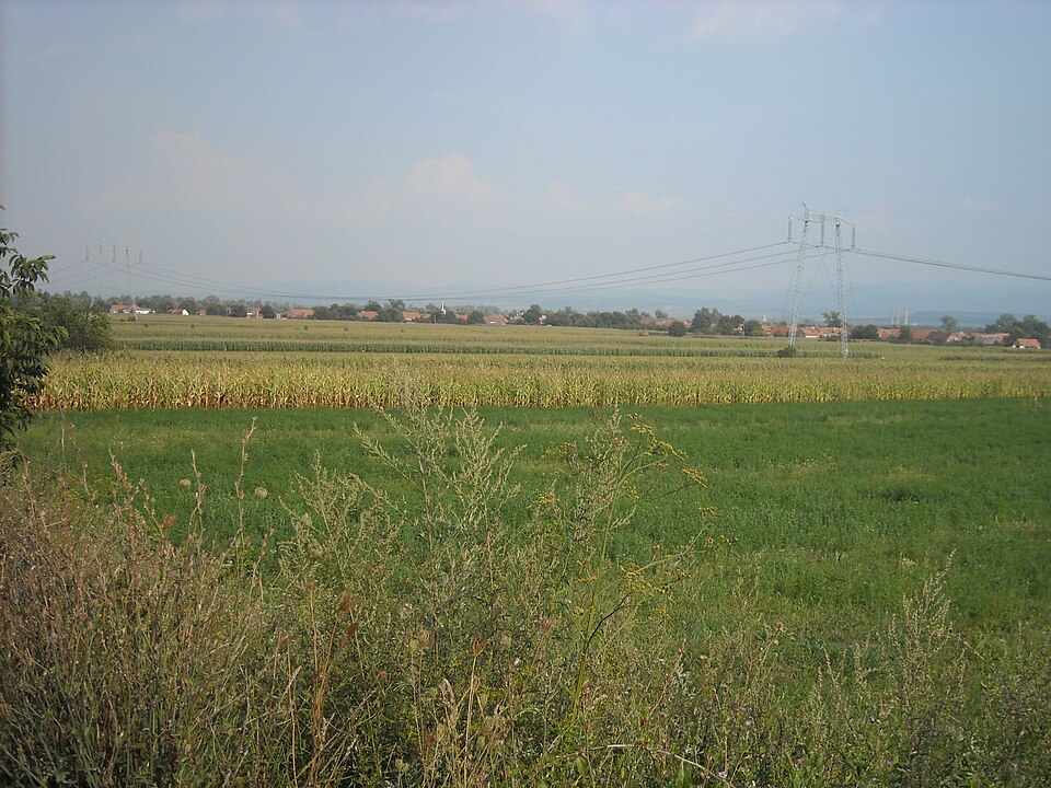 Paysage de Folt, Folt