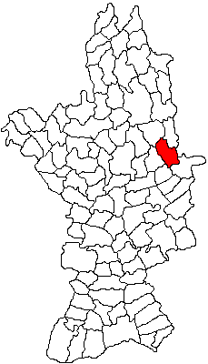 Peisajul rural Icoana