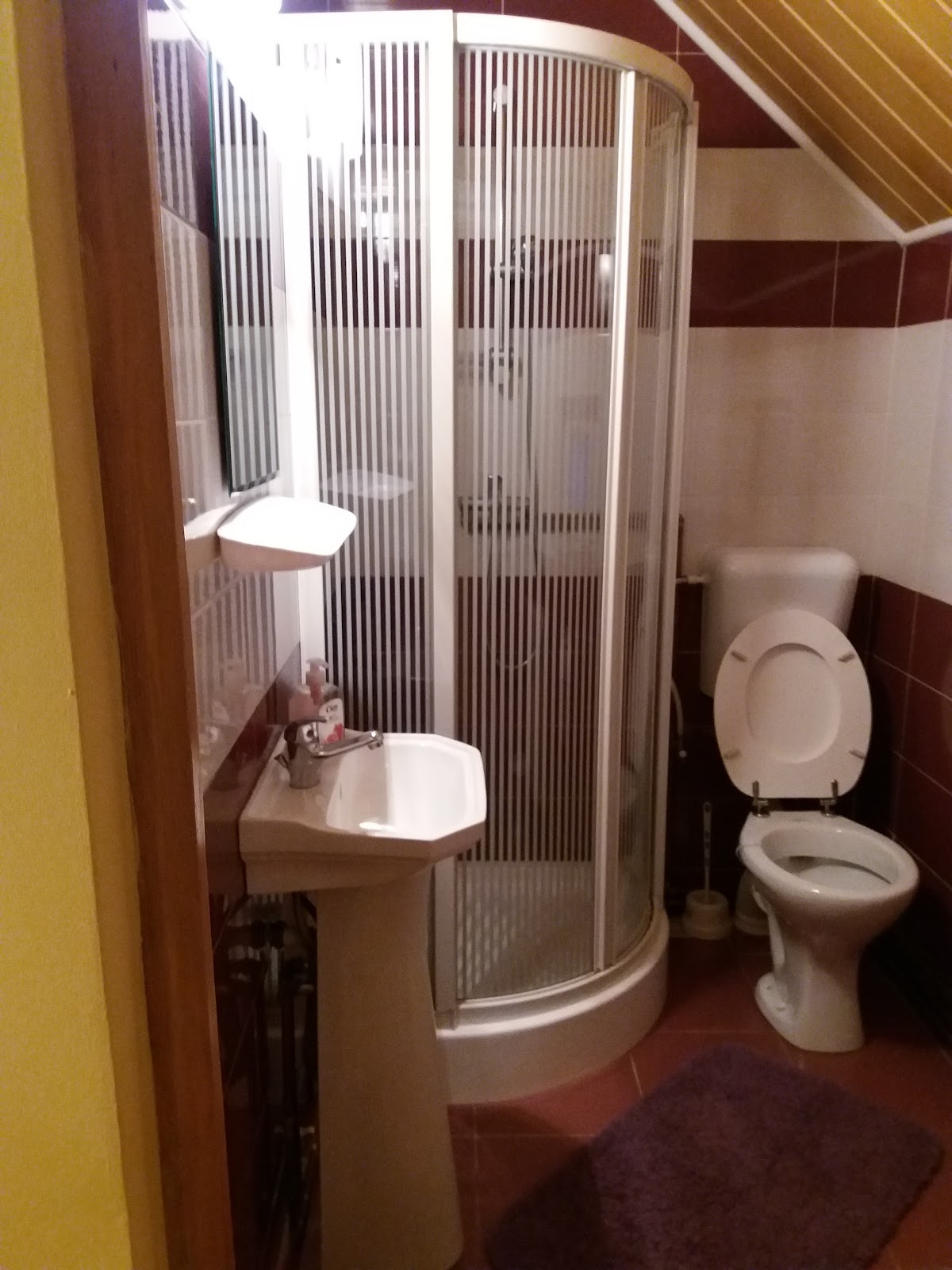 Pensione Calborean - foto 4