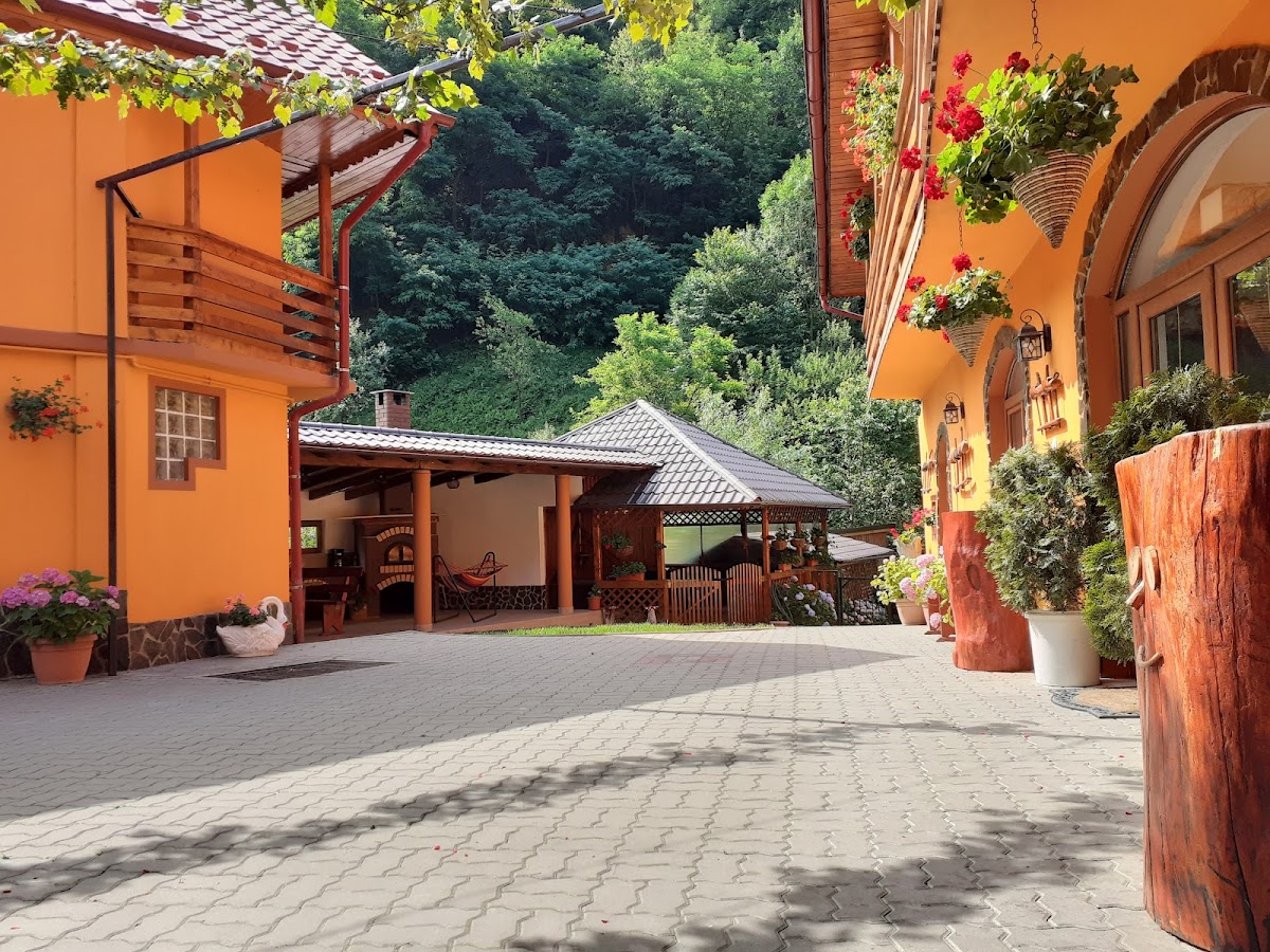 Pensione Calborean - foto 5