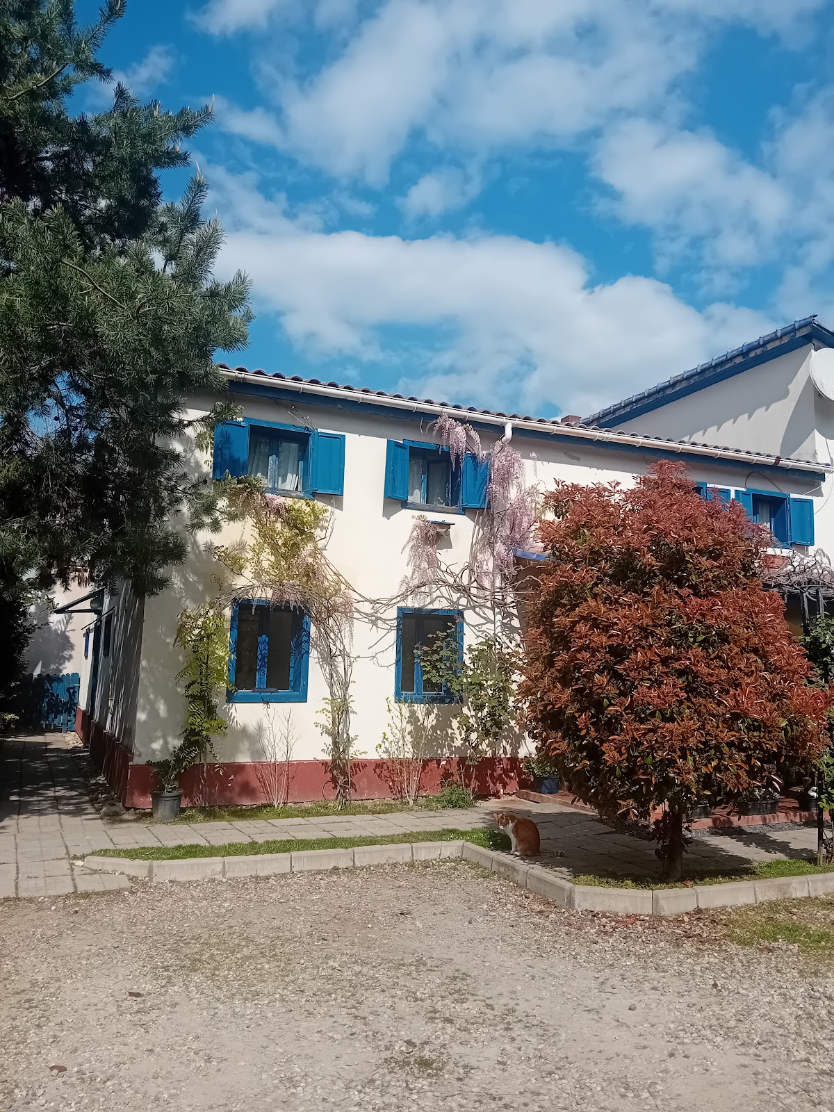 Pension Giulia