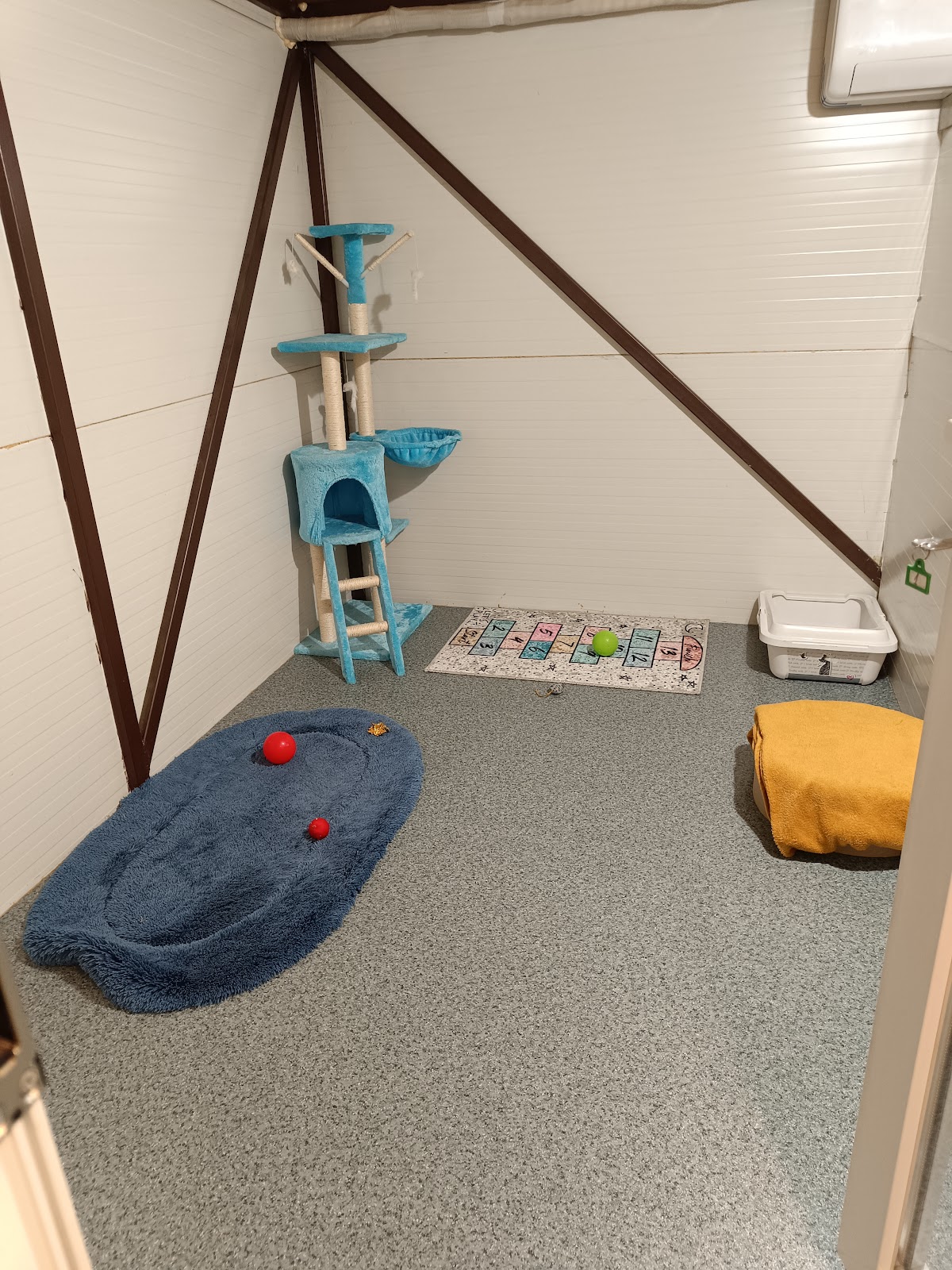 Pensiune/Cazare pisici - foto 1