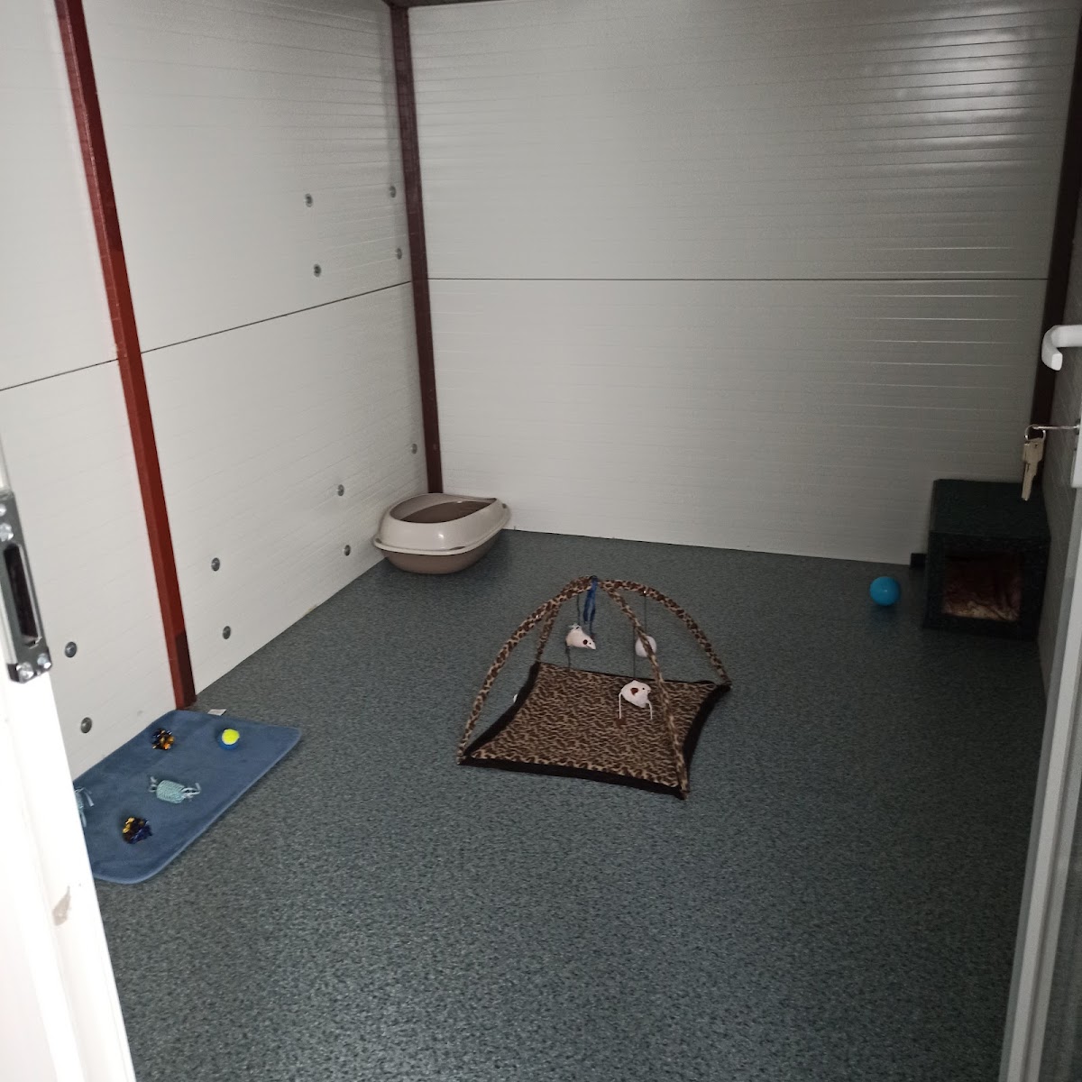 Pensiune/Cazare pisici - foto 3