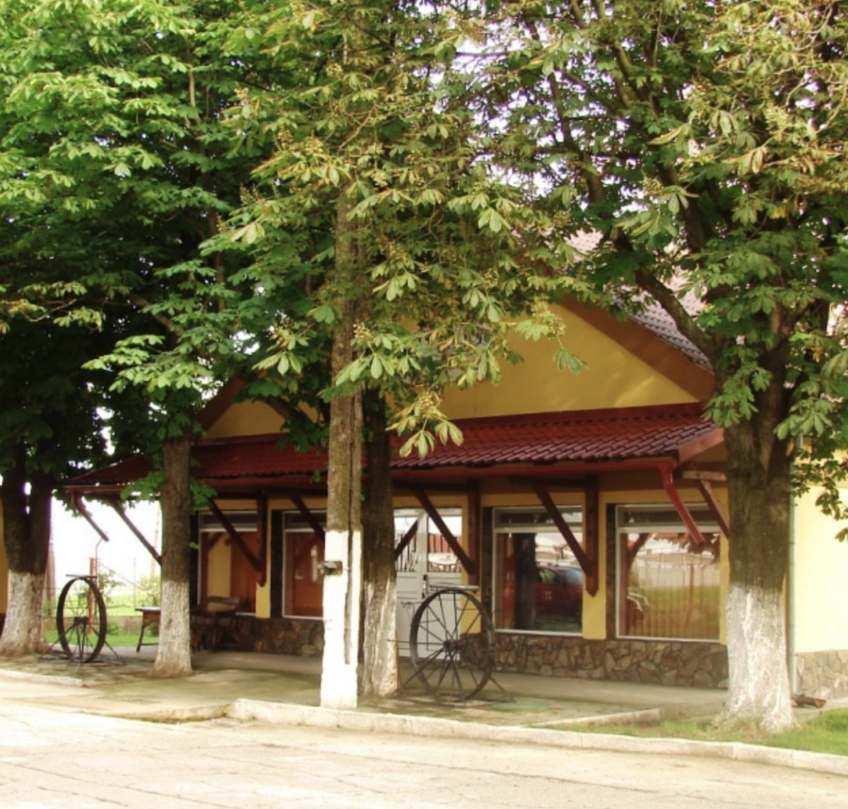 Pensiune Eurovitalis - Sânnicolau Mare, Sânnicolau Mare