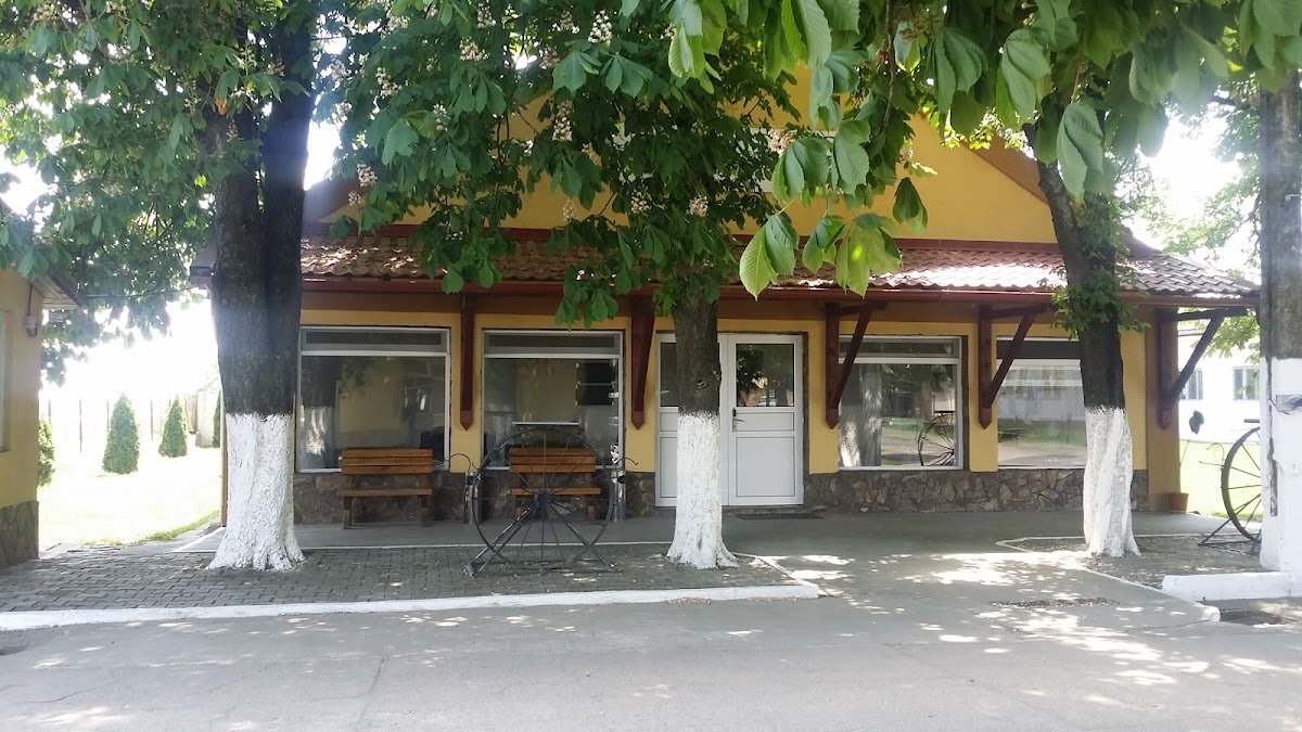 Eurovitalis Guesthouse - Sânnicolau Mare