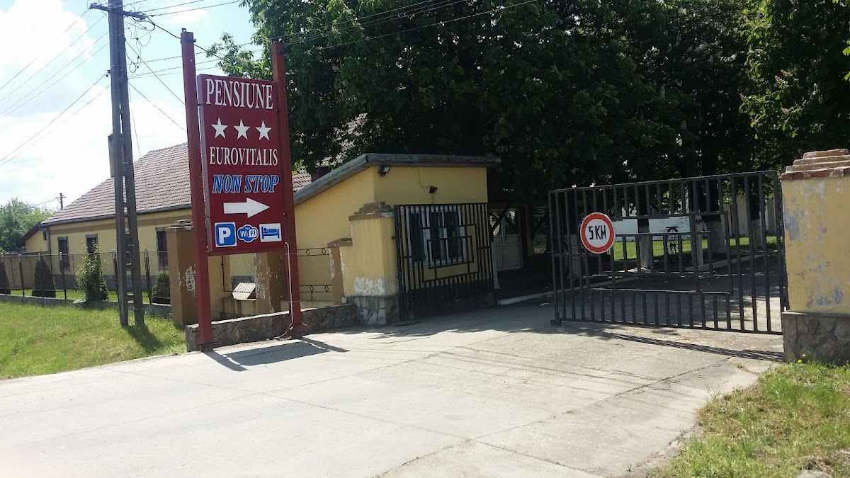 Eurovitalis Guesthouse - Sânnicolau Mare