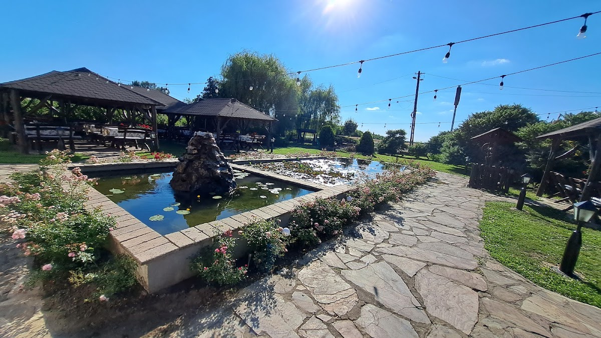 Pensiune-Han Madaras - foto 3