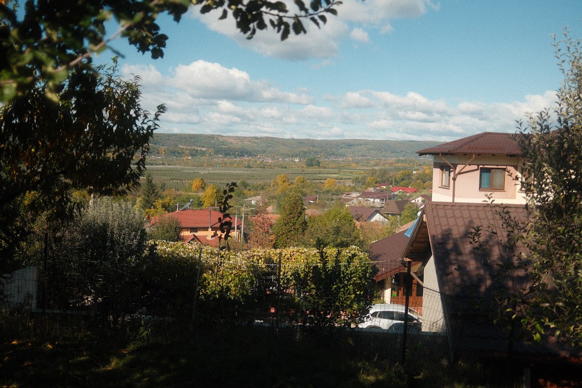 Izvoarele