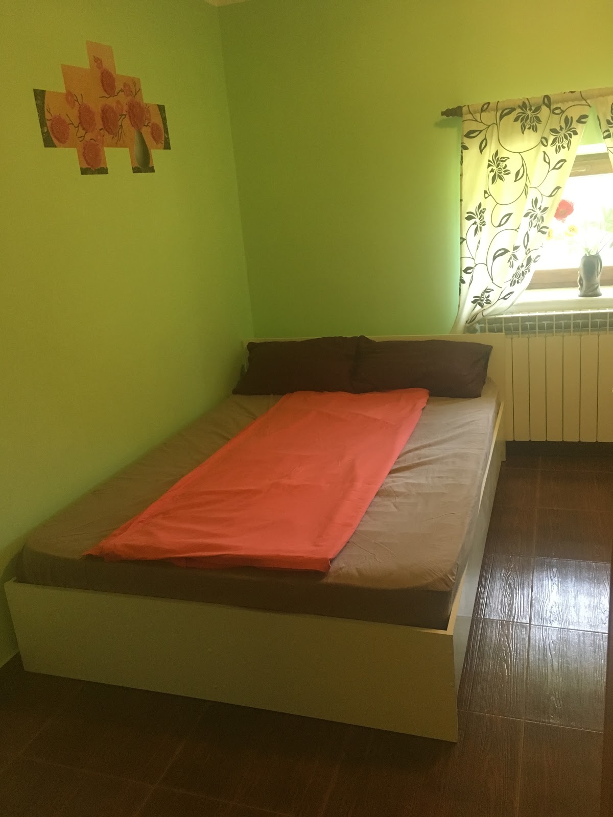 Pensión Isaccea Souvenir - foto 2