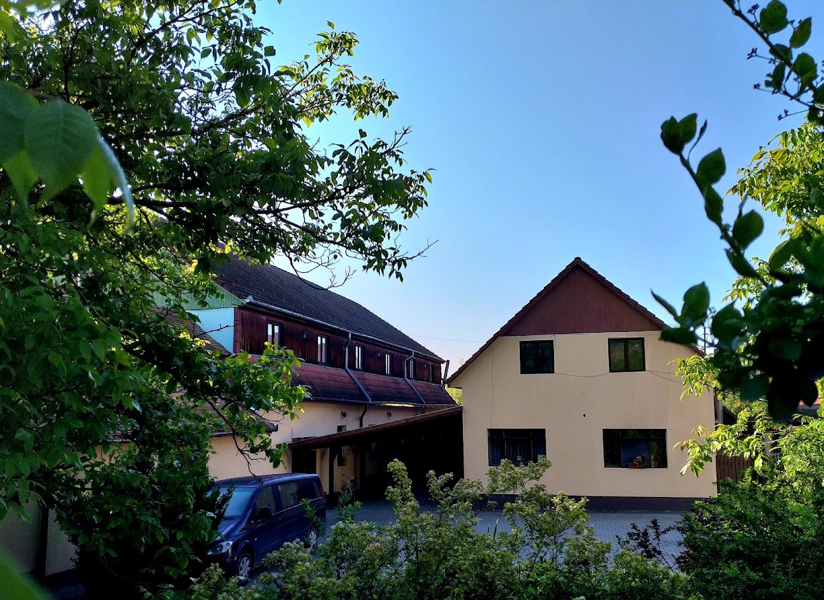 Pensiune Nyárády - foto 3