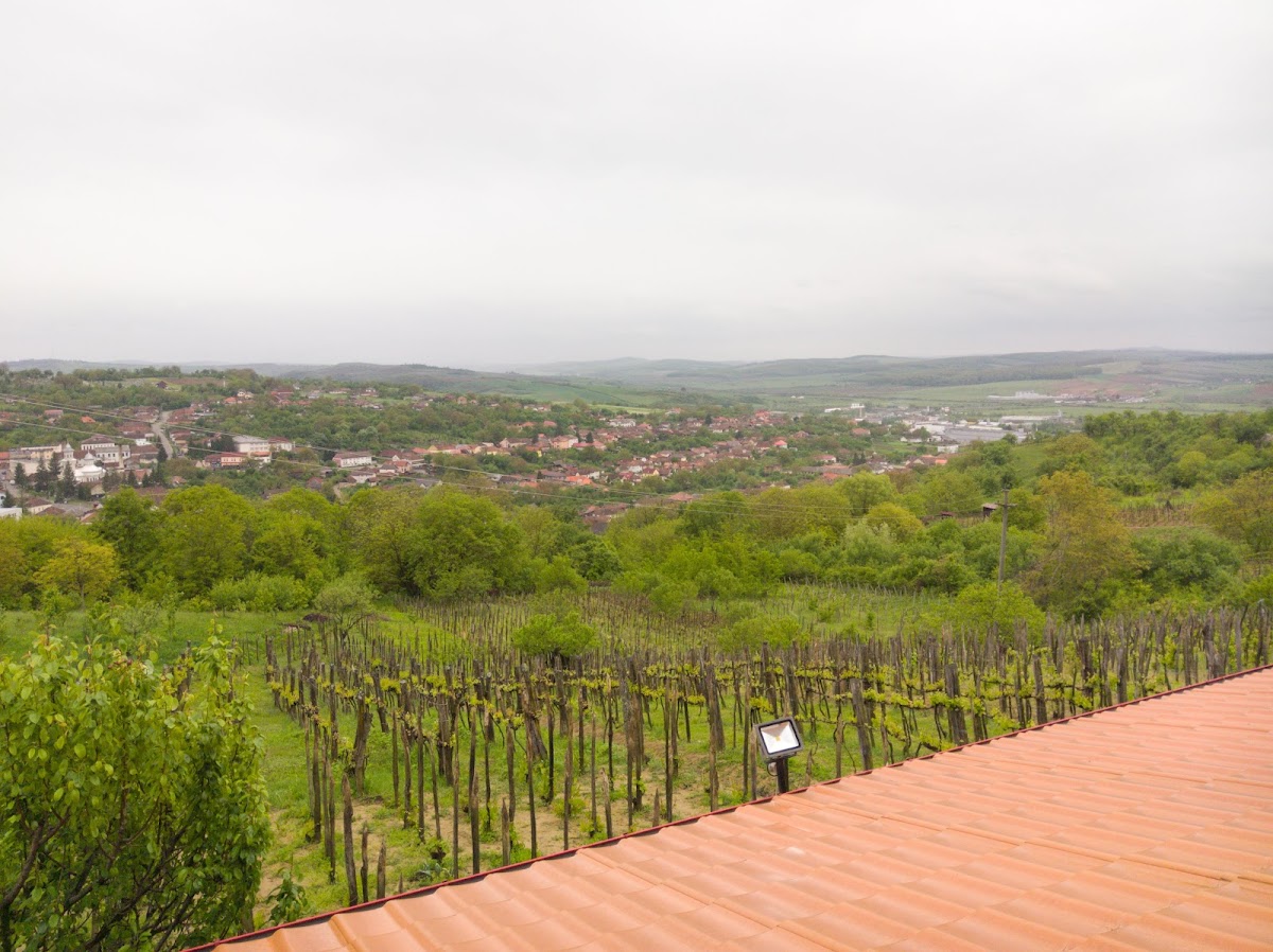 Pensiune Panorama