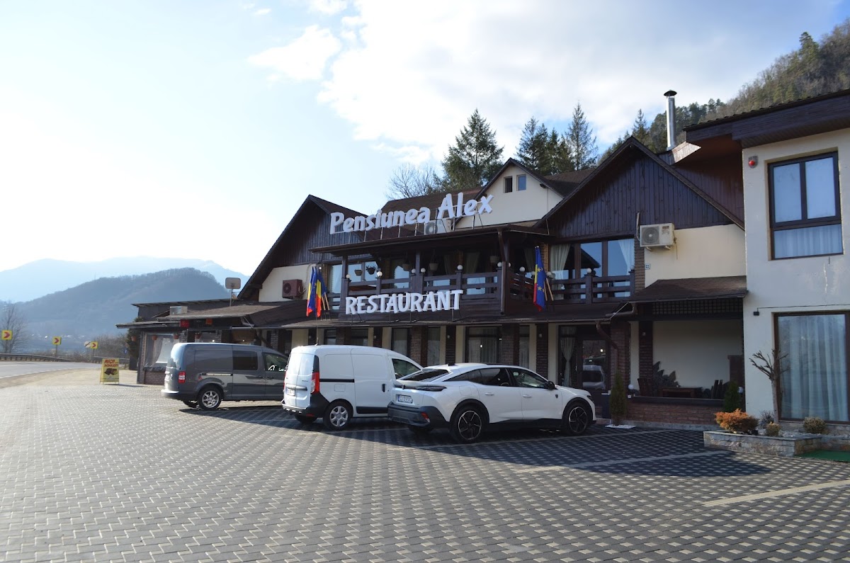 Pensiune - Restaurant Alex