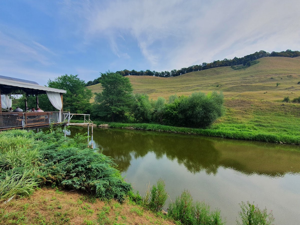 Pensiune Restaurant Denisa - foto 3