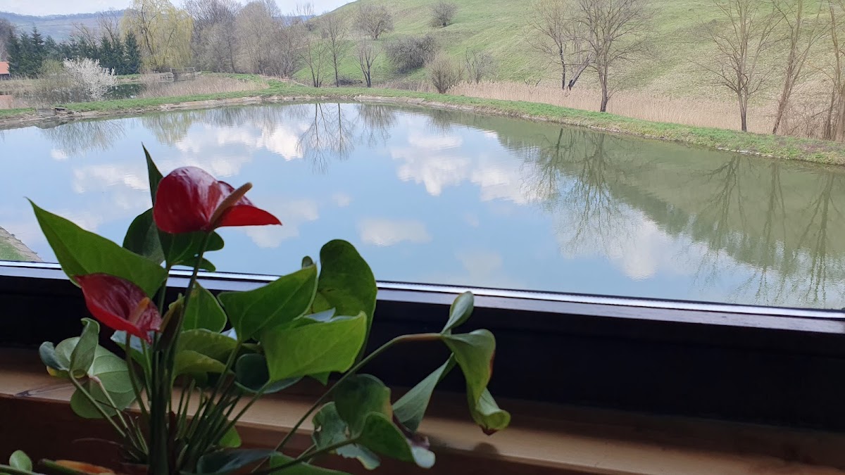 Pensiune Restaurant Denisa - foto 4