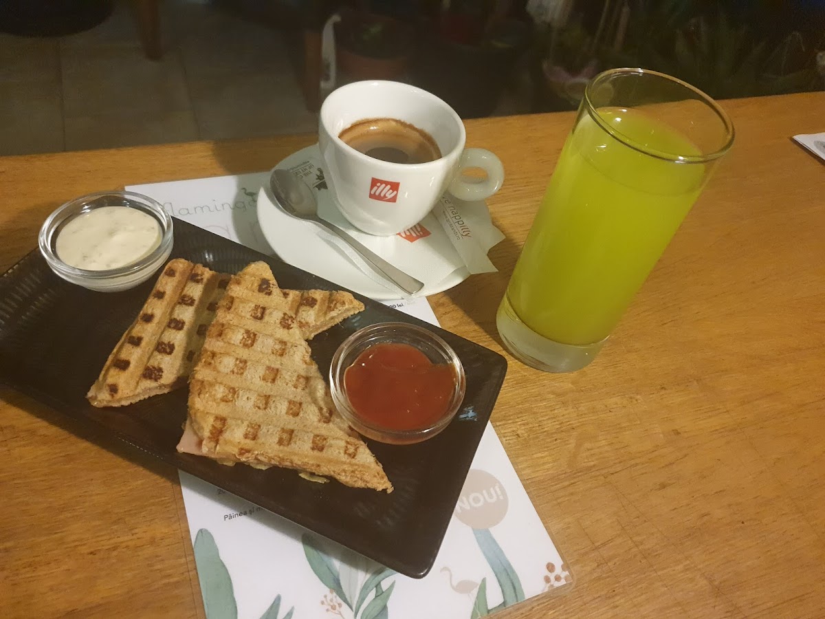 Pensiune Restaurant Flamingo - foto 2