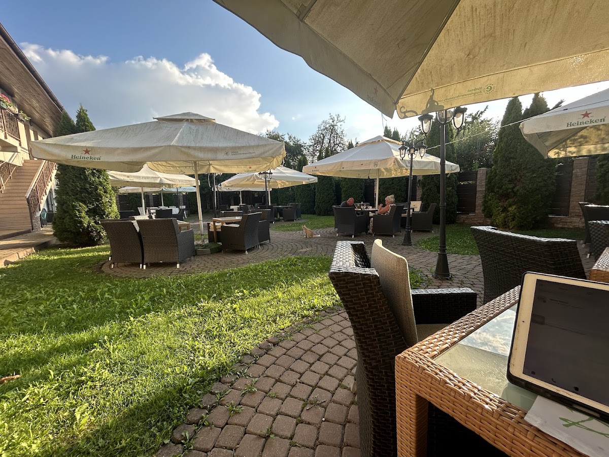 Pensiune Restaurant Flamingo - foto 4