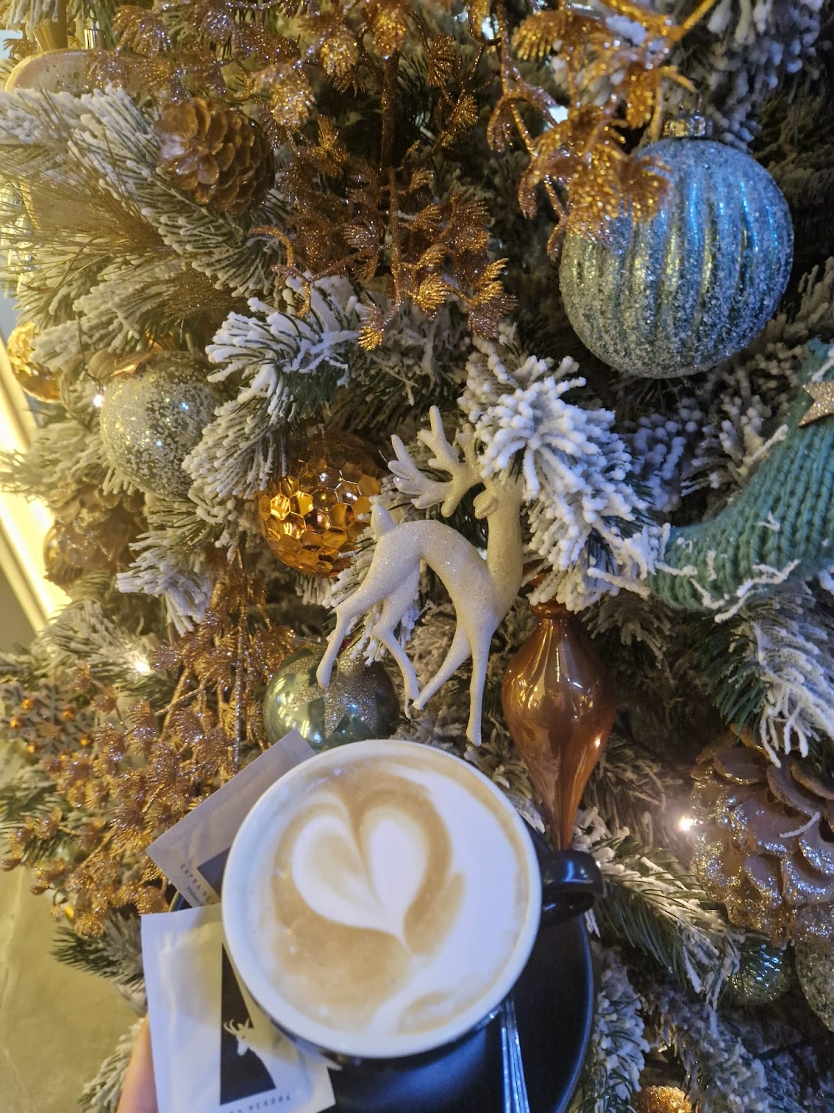 Pensiune Restaurant Neagrăi Capra - foto 2